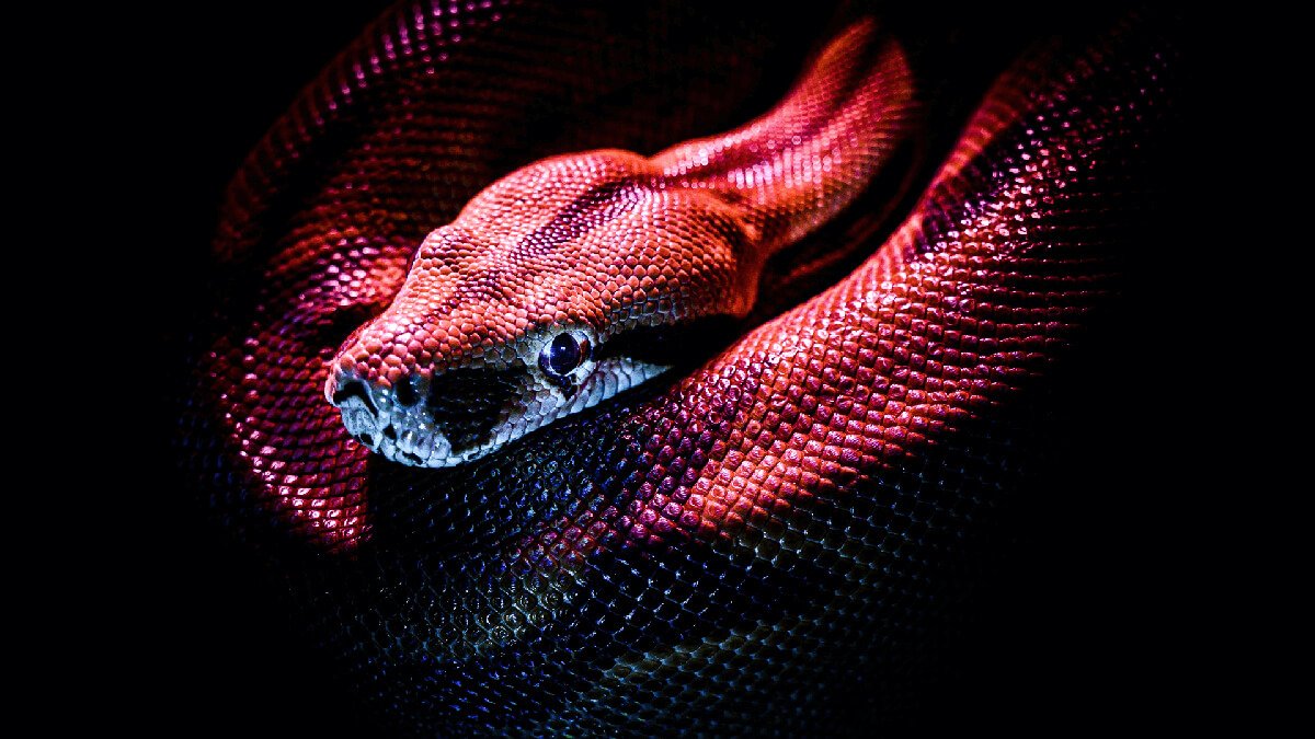 Episode 3: Scam by Close Co-Worker